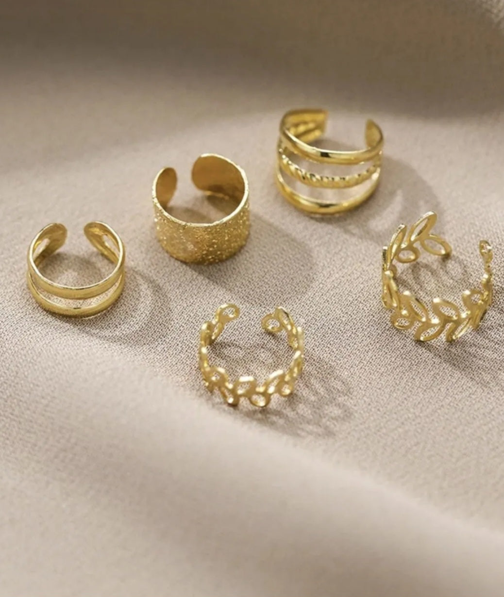 5 Cartilage Earrings Set